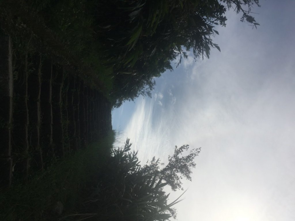 隔頂》雞籠山》東峰》三層橋》一線天石頭路》黃金博物館》本山五坑》尖山路O型⋯⋯⋯⋯_2239867