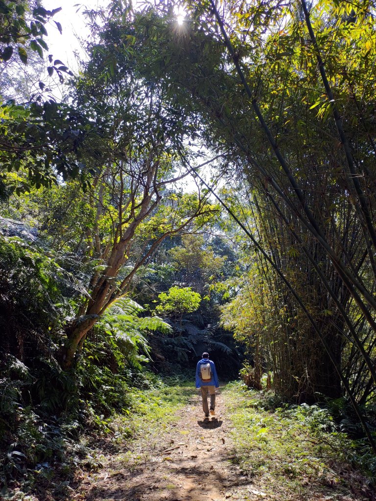 林口老公崎-新林步道O形_1978961