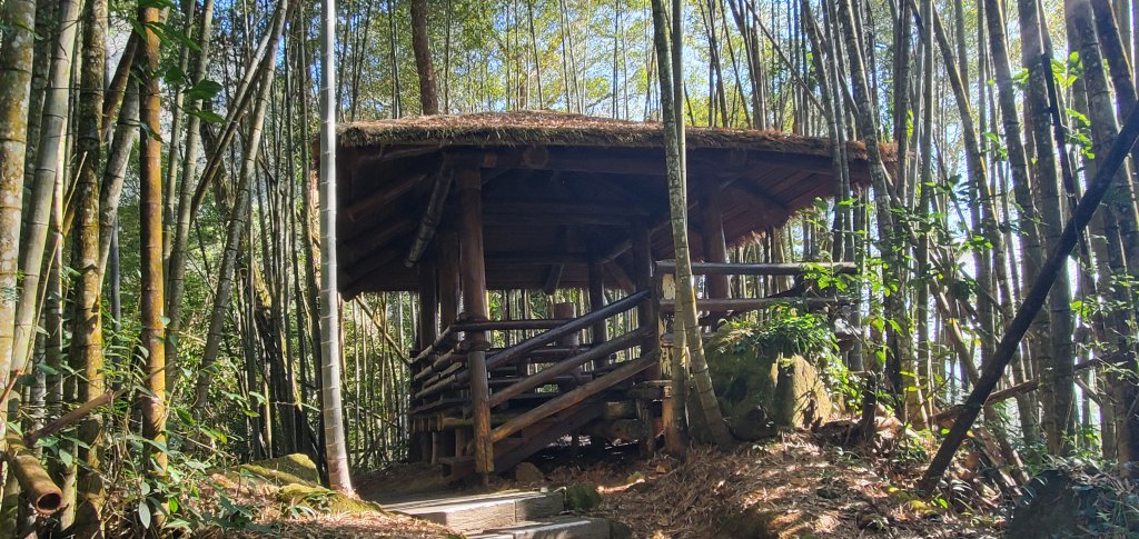 2025-01-30迷糊步道_2704443