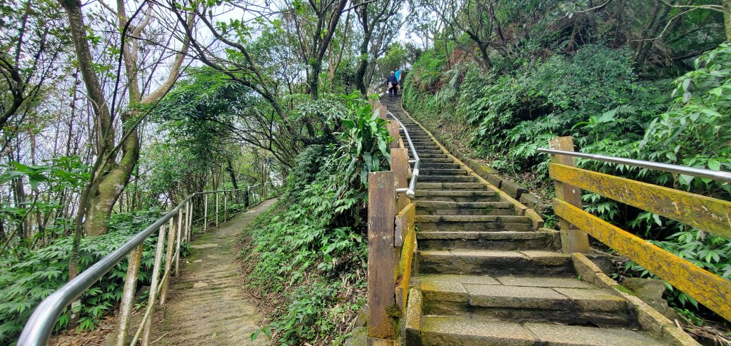 2024-11-23臺北大縱走第六段：中華科技大學至捷運麟光站_2653466