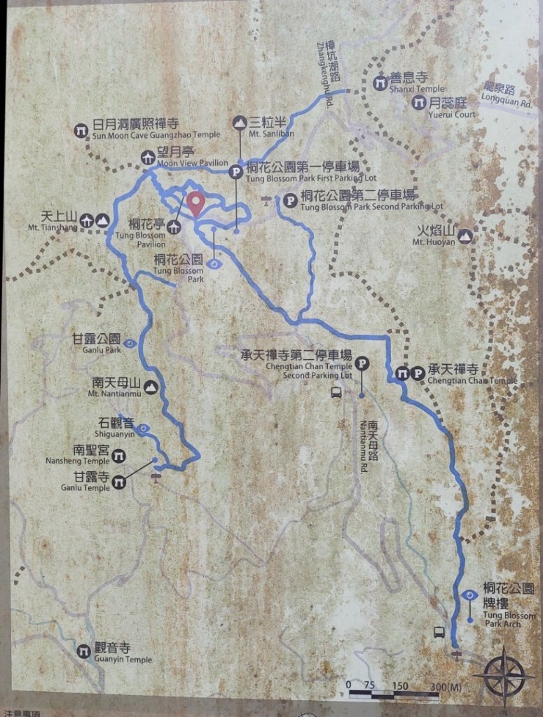 20250816_天上山系望月亭桐花段封面圖