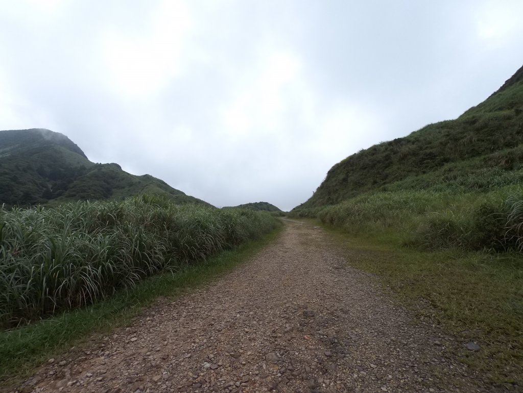 20200525樹梅坪、燦光寮、貂山古道_977037