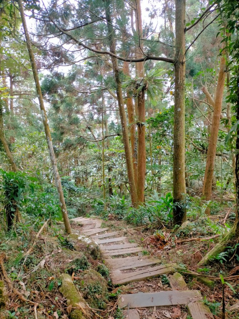 阿拔泉山/觀音石山/紅楠坑山/獨立山 環狀_2963309