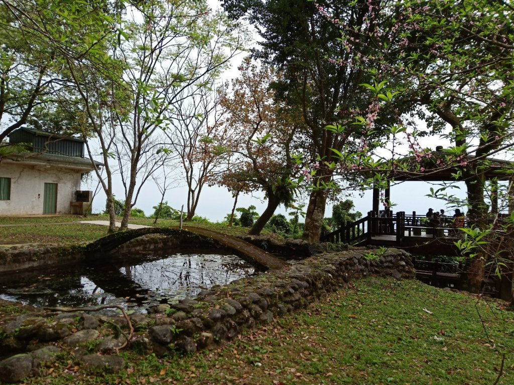 步道巡訪員│佐倉步道2月巡訪日誌_819680