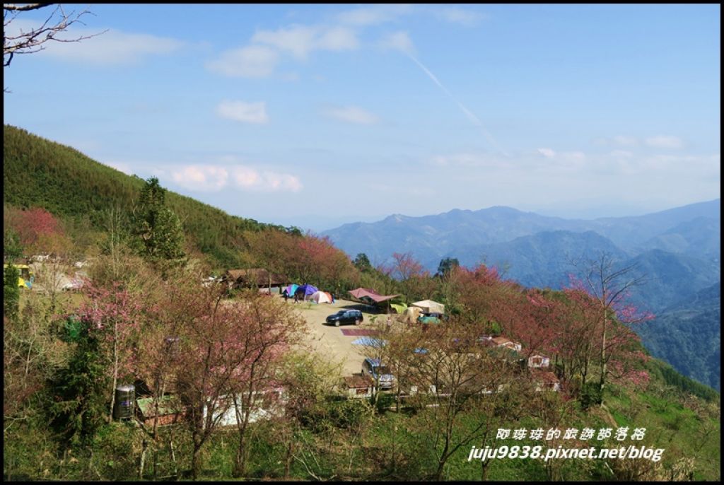 五峰山上人家白蘭部落櫻花開_272483