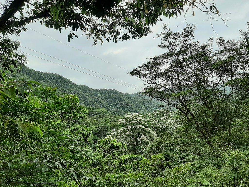 驚奇美妙的大自然饗宴_1366201