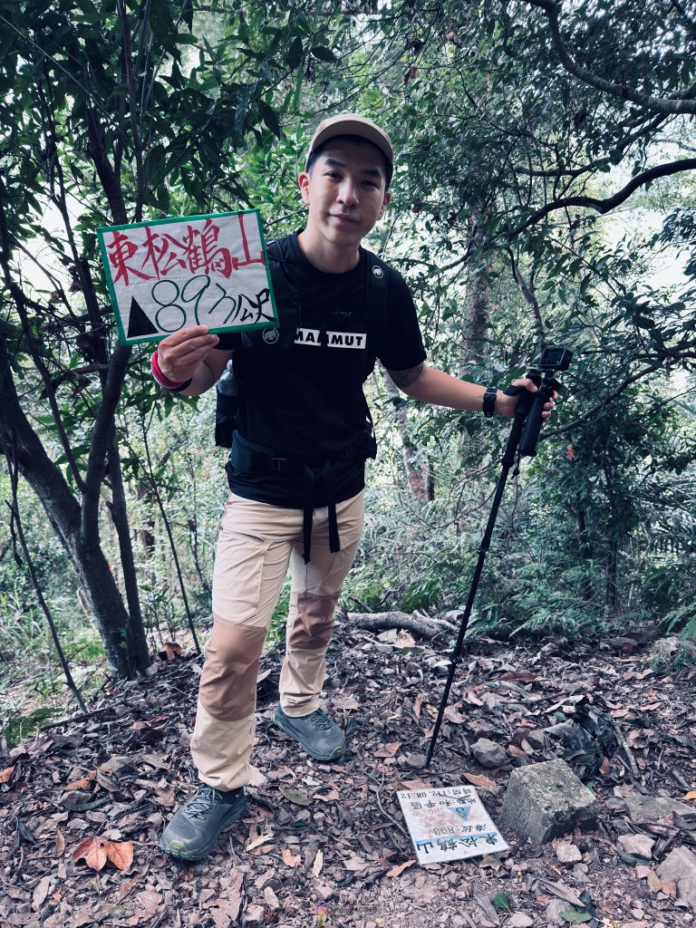 松鶴上八仙_2653167