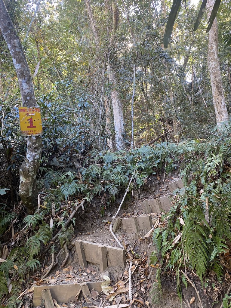1111120泰安鄉鳥嘴山_2672935