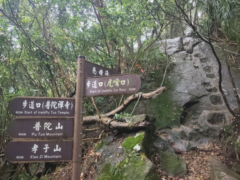 微笑山線：【五分山系】平溪小黃山段_2954999