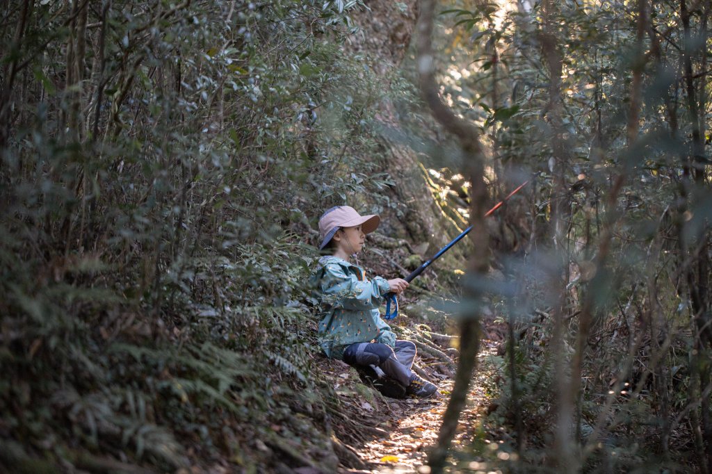 復興三尖之夫婦山 & 雪霧鬧部落_1921619