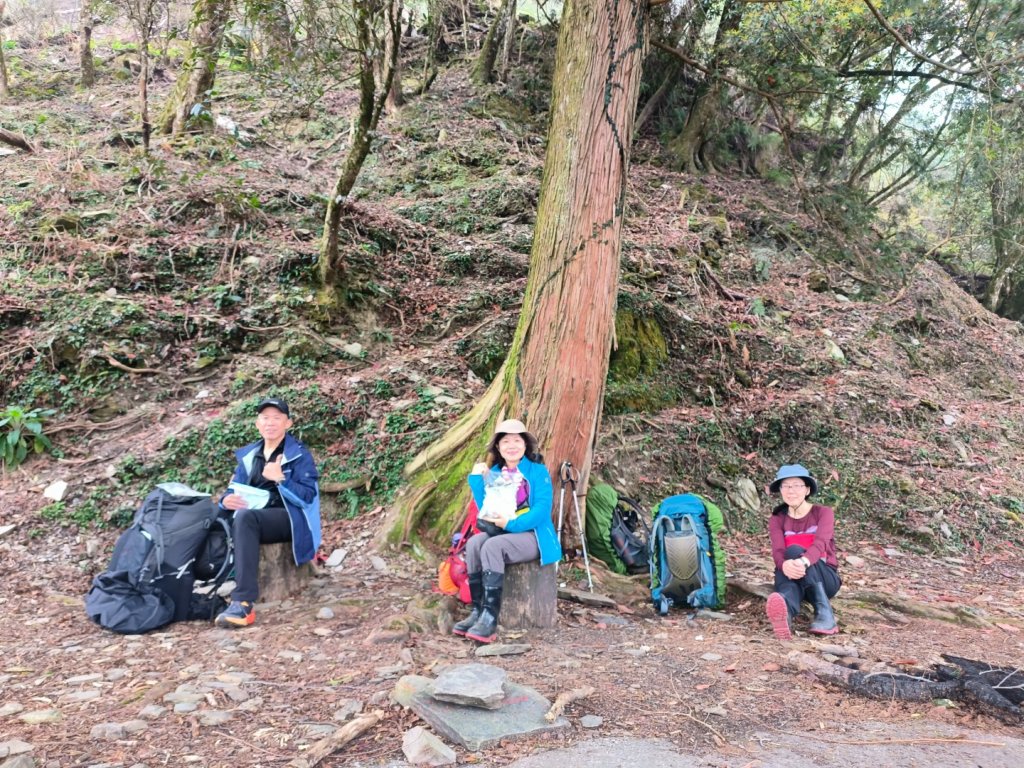 20240316 馬博8天縱走~第一天，東埔登山口到觀高工作站_2470729