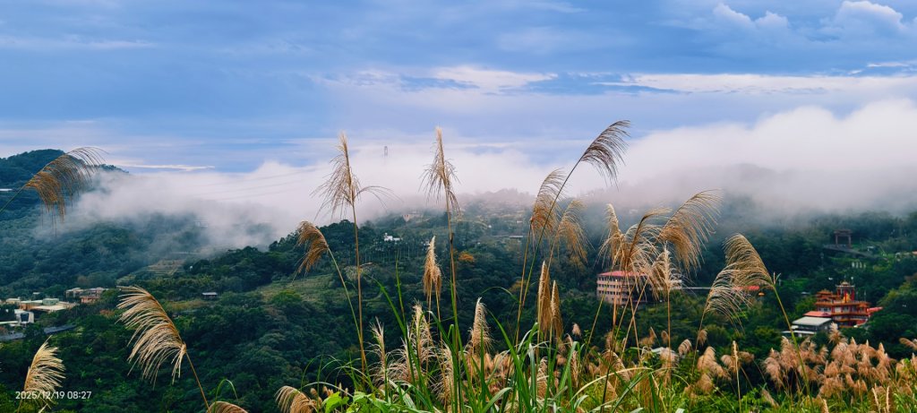 石碇趴趴走追雲趣 #琉璃光 #雲海 #雲瀑 12/19_2965327