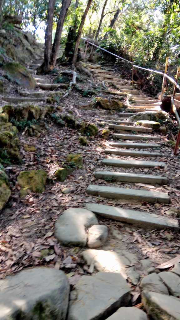 南觀音山,大坑4號頭嵙山_545502