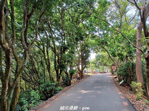 【彰化員林】員林百果山上最具人氣的休閒步道。 台灣百大必訪步道。 藤山步道_1689465
