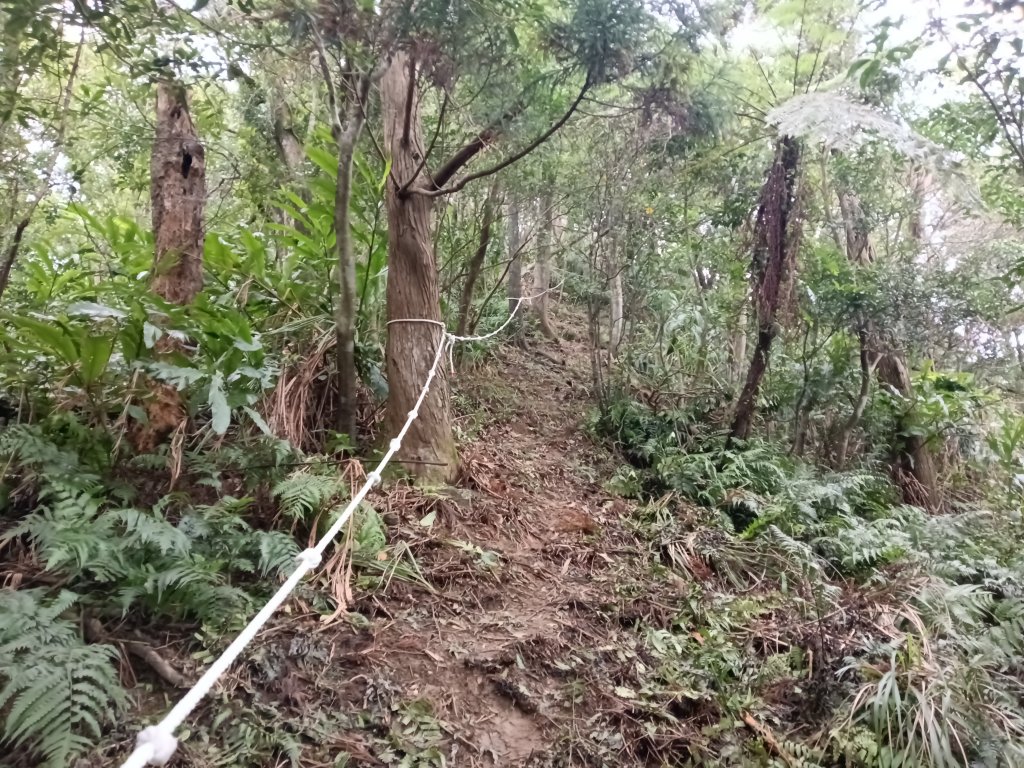 雙溪區彎穹平林山+平湖東步道+紙坑古道(億山煤礦)+紙坑山出平水聚落O型_2965812