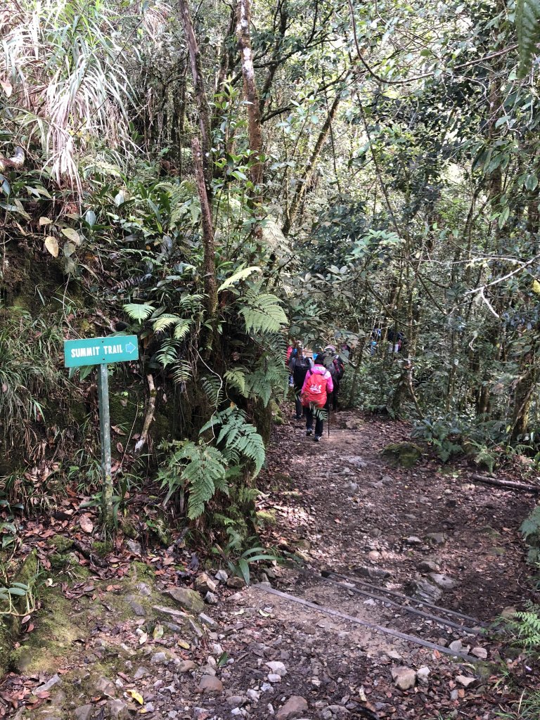 馬來西亞 沙巴神山_631955