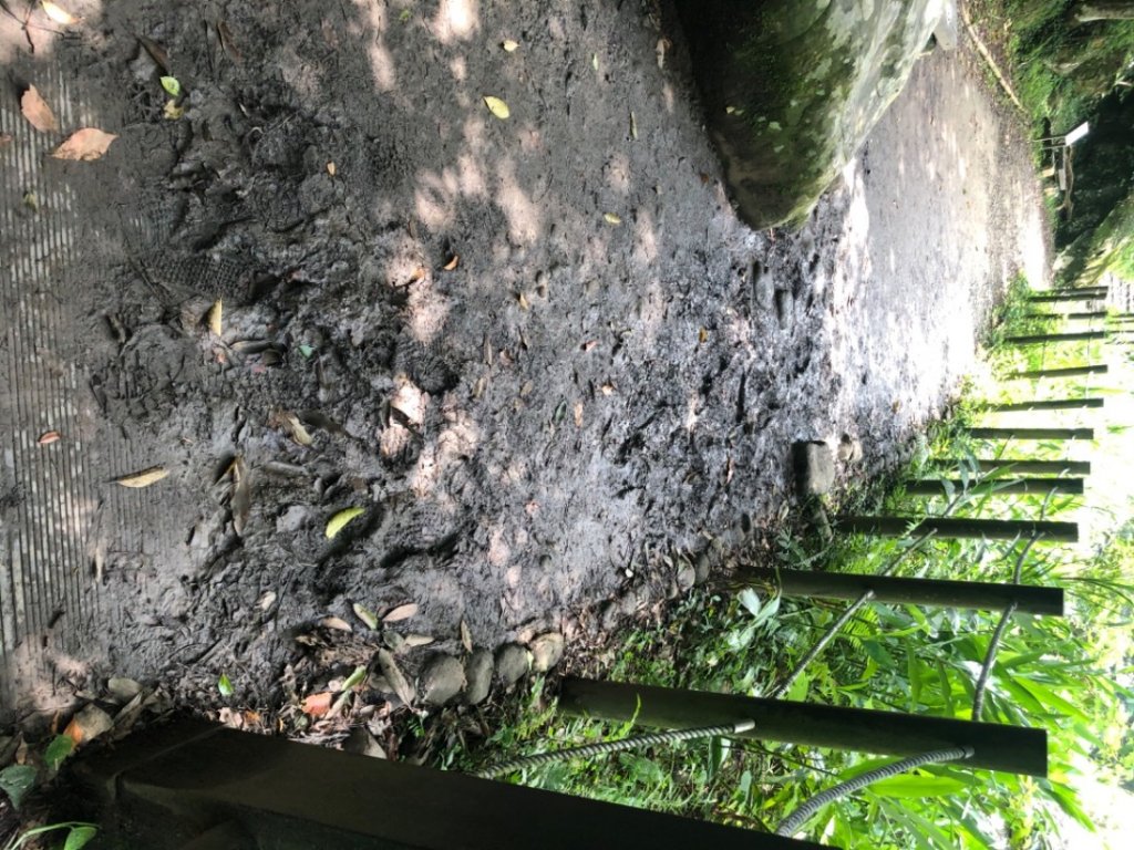 蓬萊護魚步道_1091575
