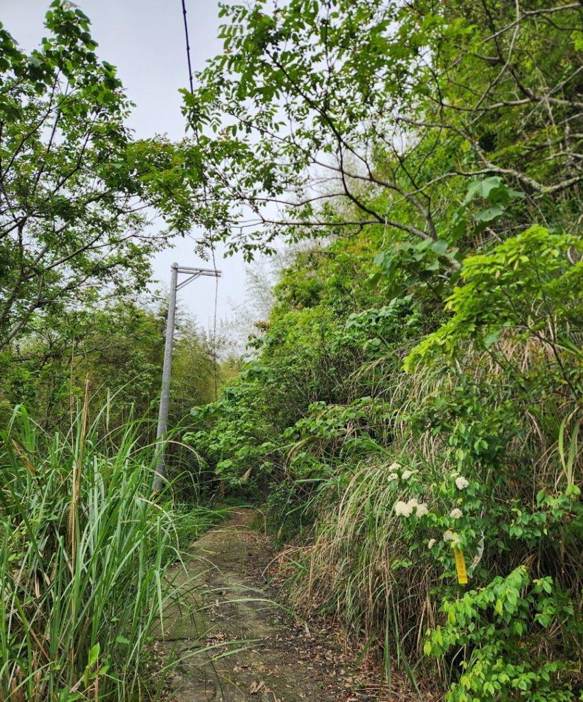 【中級山縱走】魯壁山，東穗山，大島田山，宇老觀景台_2771702