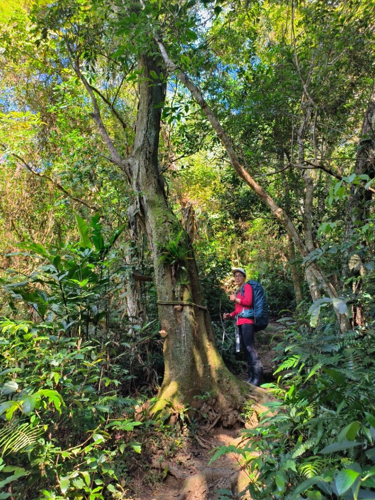 20230114 溪寮健走（ 溪洲山健走頭寮山）_1993643