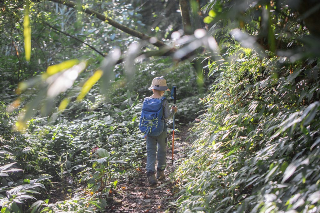 闊瀨古道-沿北勢溪谷而行的夏末之旅（淡蘭古道）_2287585