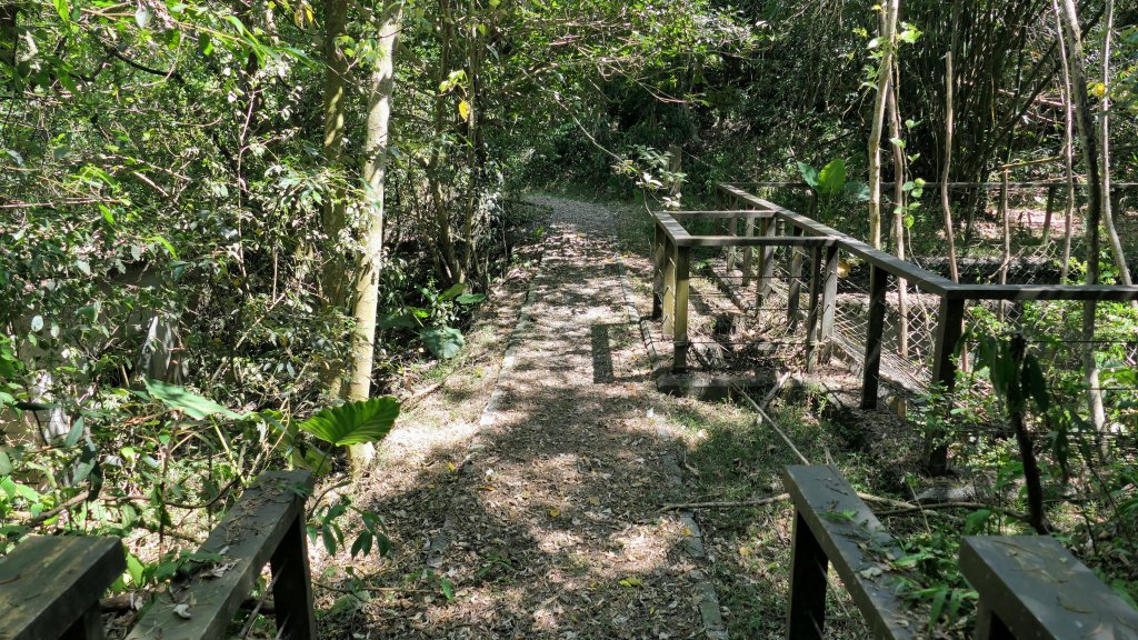 茅埔城古道_2554861