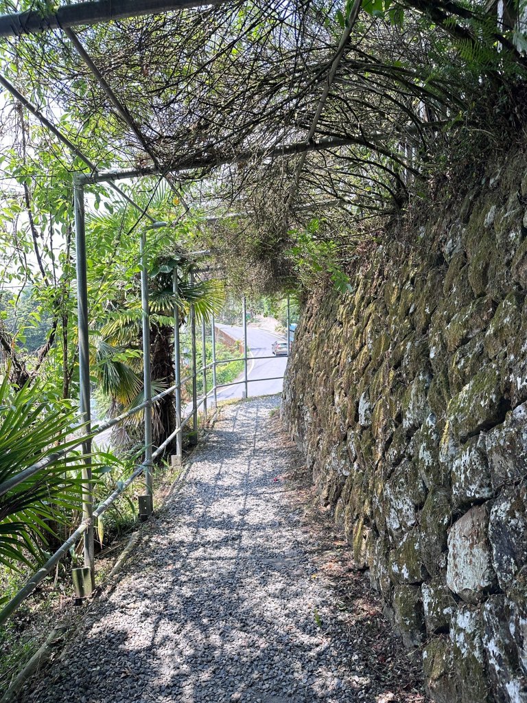 霧之道接茶之道登樂野山和霹靂山封面圖