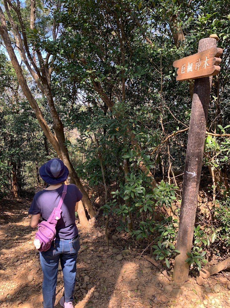 蓮華山古道群_飛龍登山步道、戴熙古道、採茶古道、進香古道、迴龍古道_2063345
