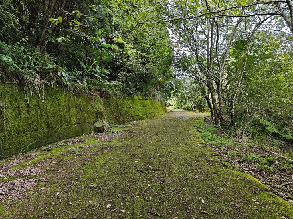 2025_0601 赫威山_2802272