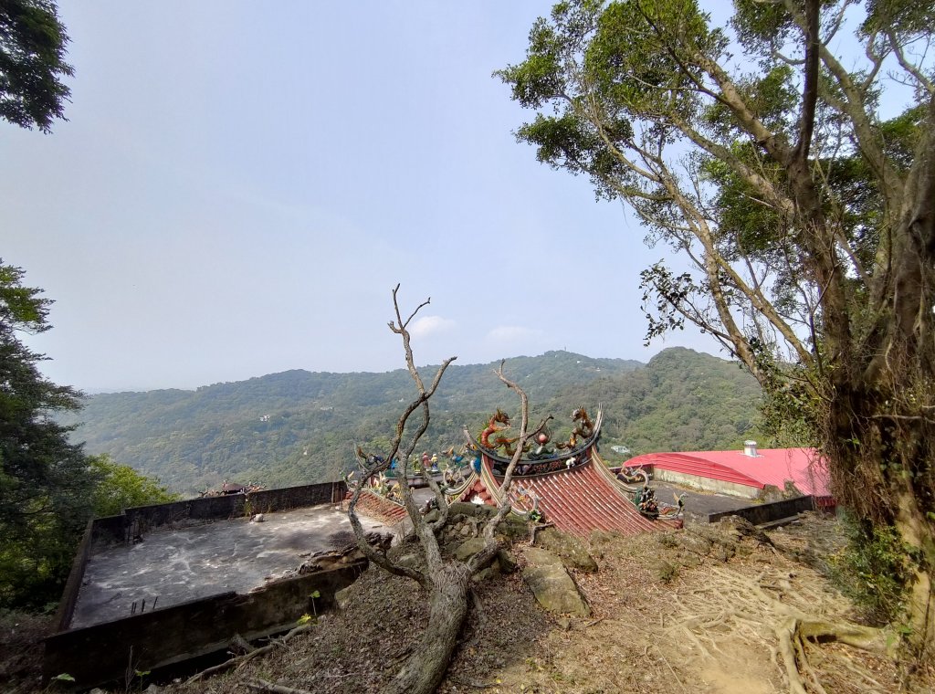 大棟山縱走(鶯歌上山佳下)_1319327