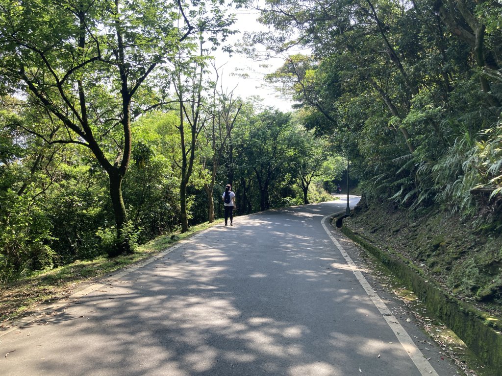 大棟山登山步道_2496067