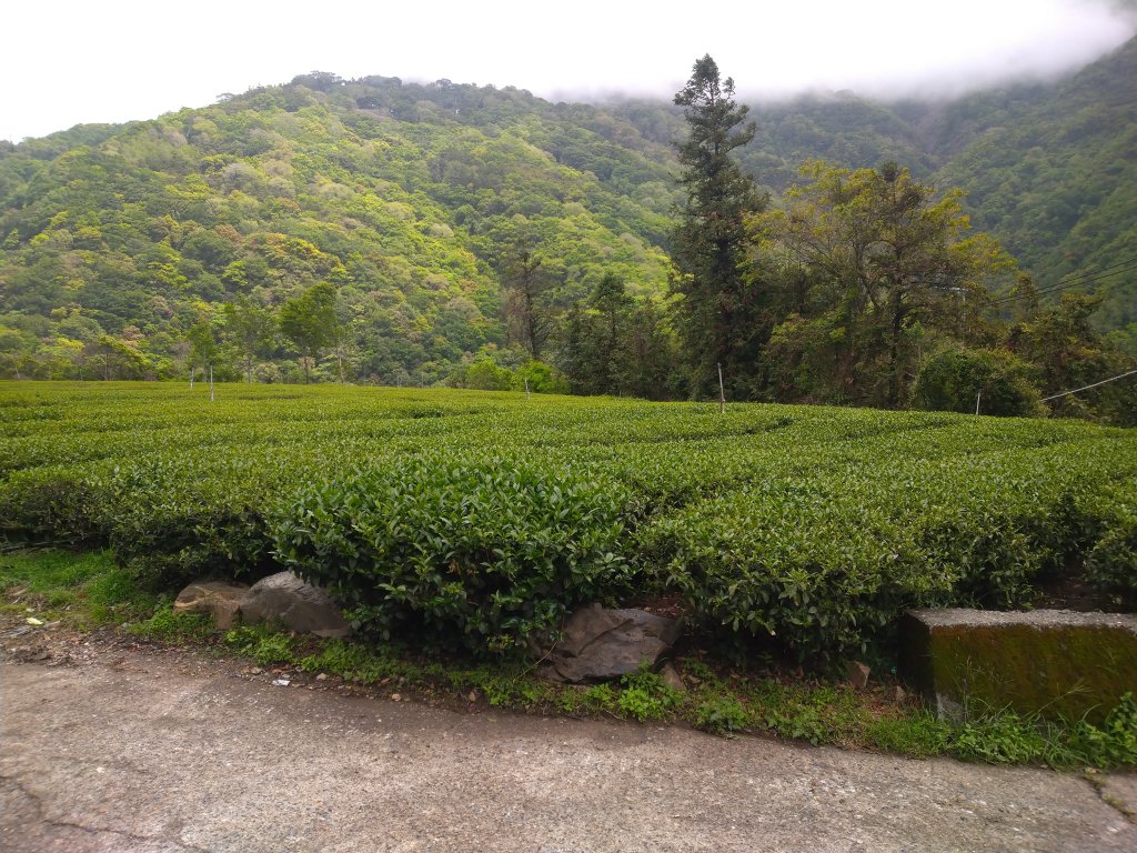 最愛的秘境0-帖比倫峽谷瀑布_1185787