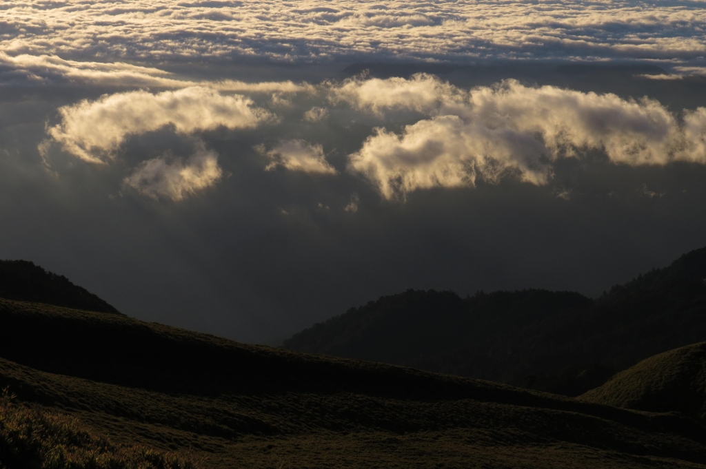 【步道小旅行】登山新手之能高越13K.奇萊南峰日出雲海_4402