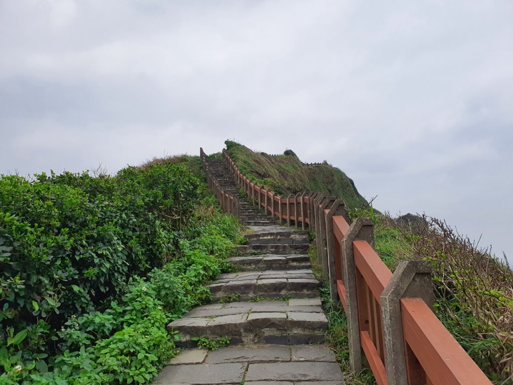 忘憂谷步道_1274253