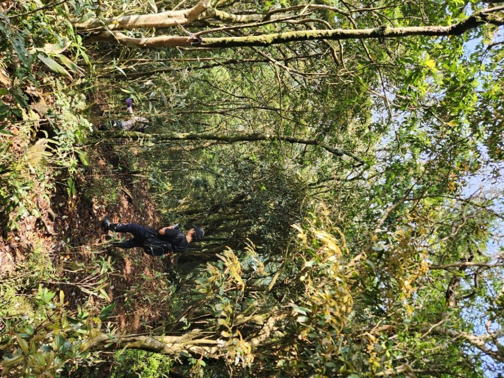 【中級山縱走】魯壁山，東穗山，大島田山，宇老觀景台_2771734