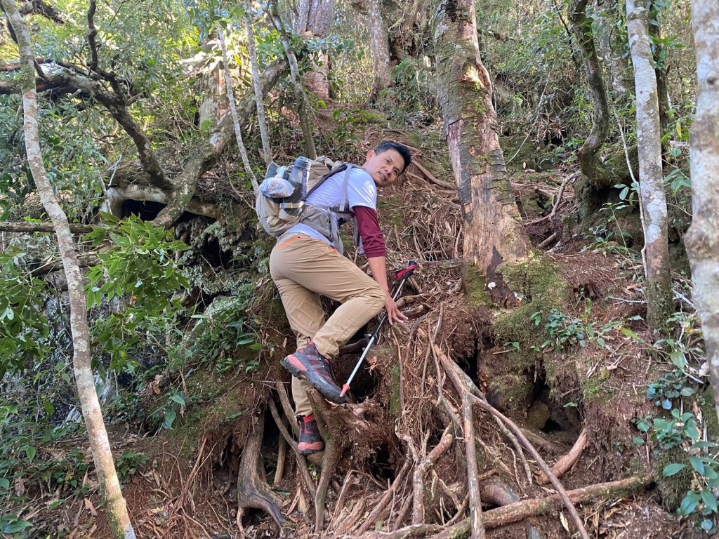 長壽山-醜崠山-鳶嘴山【既優雅又狂野的另類選擇】_2673957