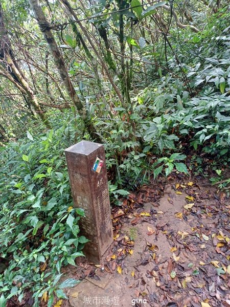 【屏東獅子鄉】海天一色。 台灣百大必訪步道~里龍山自然步道_2550766