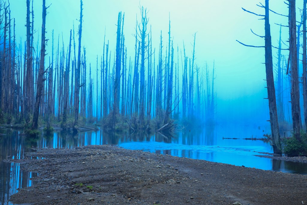 水漾森林避暑_635745