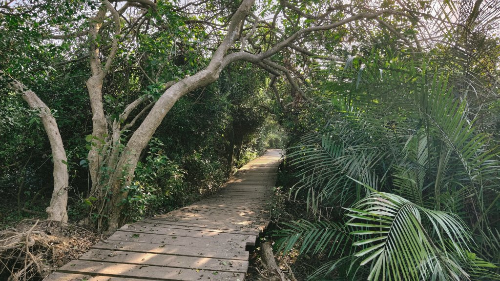 【台灣健行】壽山國家自然公園_2664233
