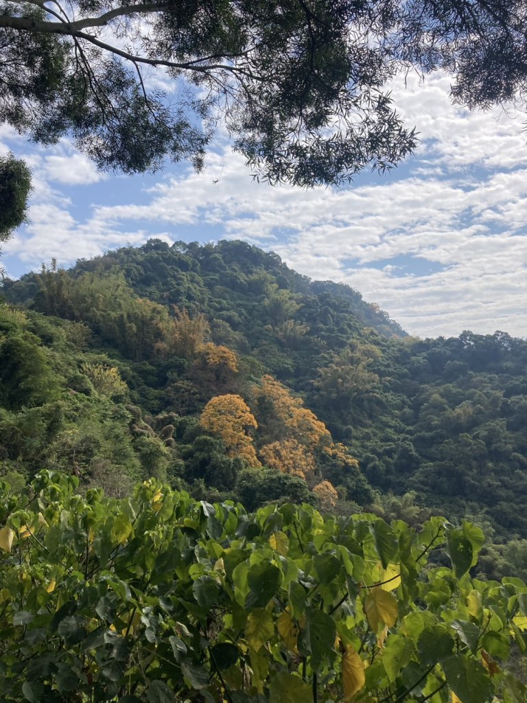 三汀山_2983673
