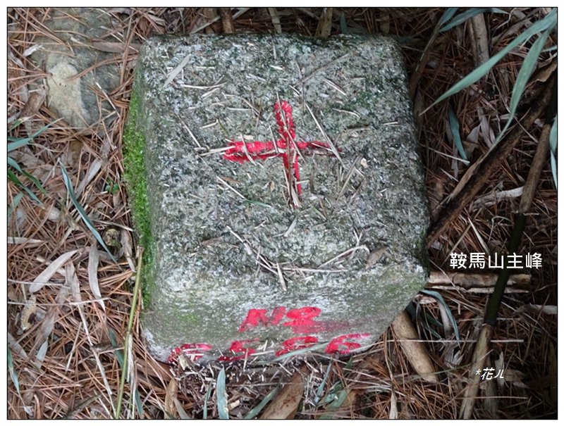 鞍馬山、鞍馬山東北峰(台中/和平)封面圖