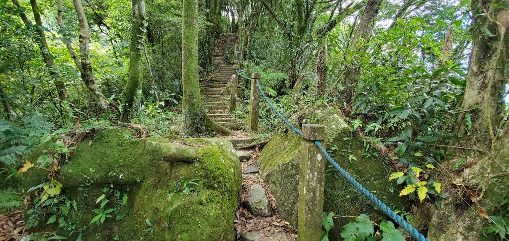 2021-09/05-新北市新店-獅仔頭山_1454040