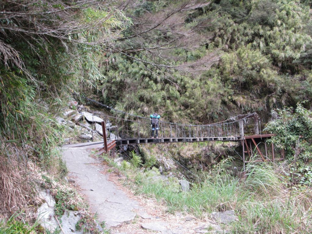 奇萊南峰步道、南華山步道_146300