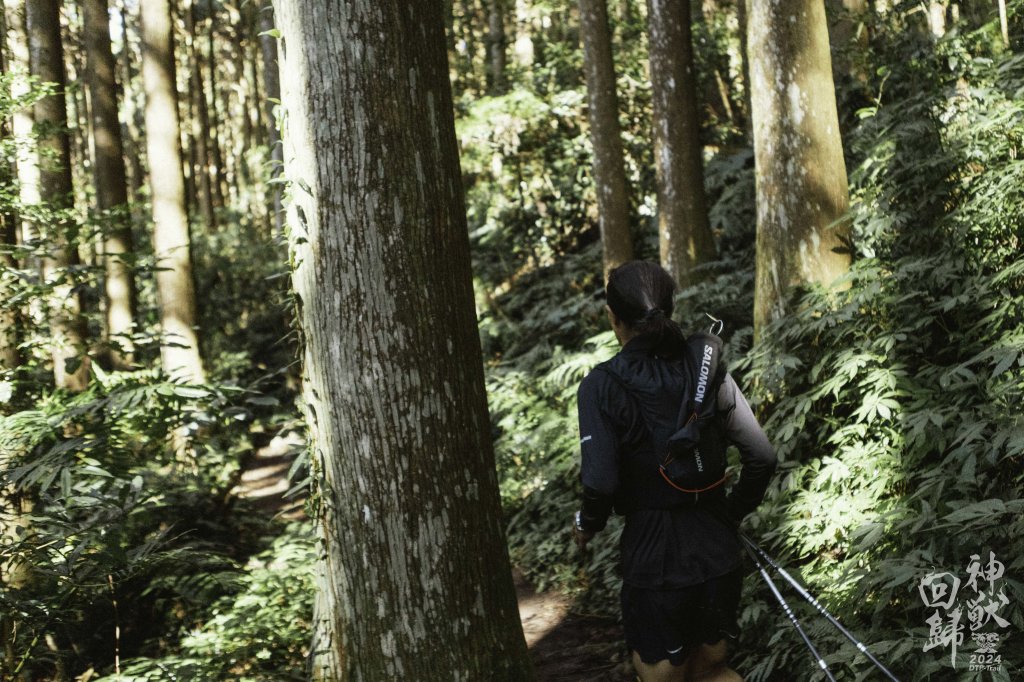 20241228之向天湖山 加里山 哈堪尼山 虎山西南峰 南大龜山 三角湖山_2688703