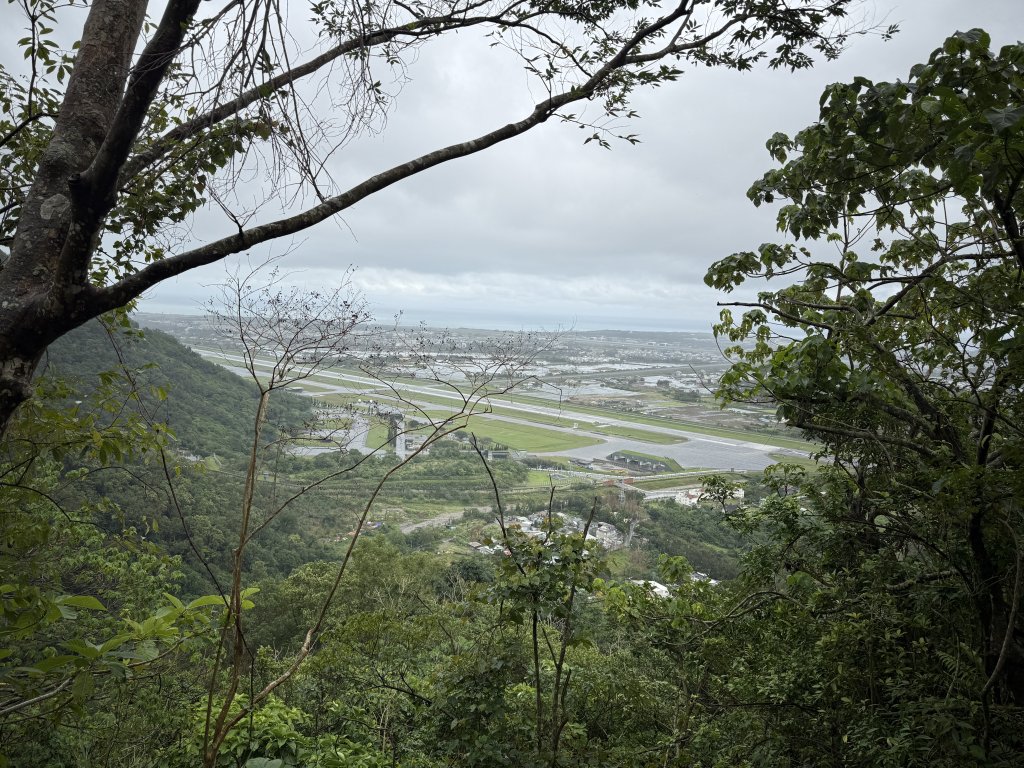 佐倉步道_2704775