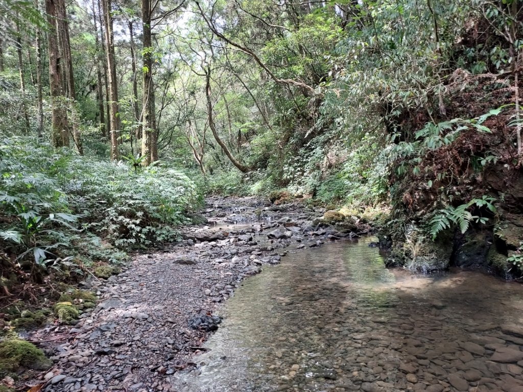 坪溪古道_1822163