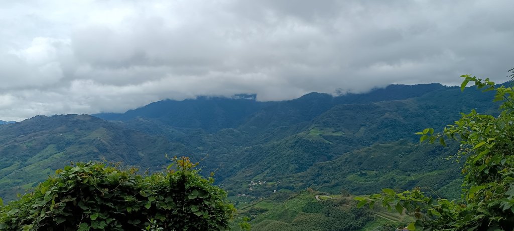 2024/08/18_馬那邦山步道_2576210