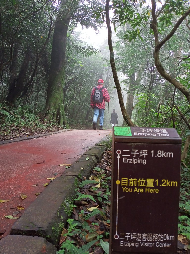 【臺北大縱走 1】二子坪→面天山→清天宮_1274577