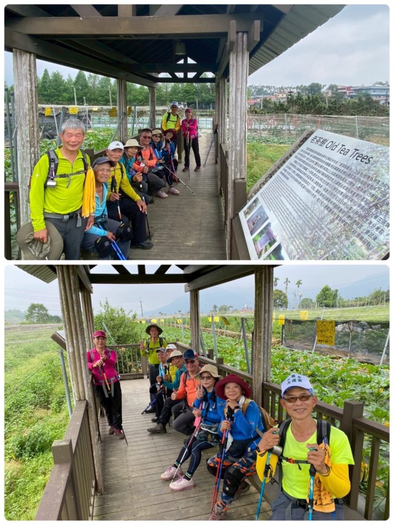 鳳凰谷步道走凍頂麒麟山_2770496