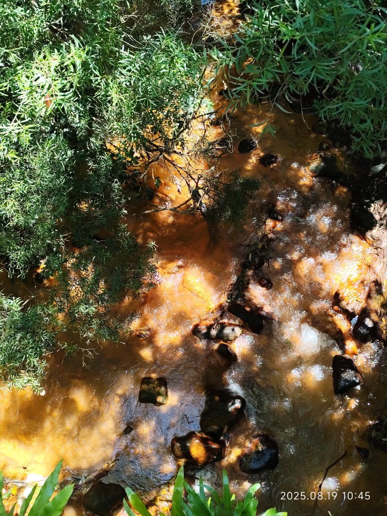 天母水管路步道→天母古道→磺溪→白雲瀑布【發現陽明山、臺北健走趣】_2864697