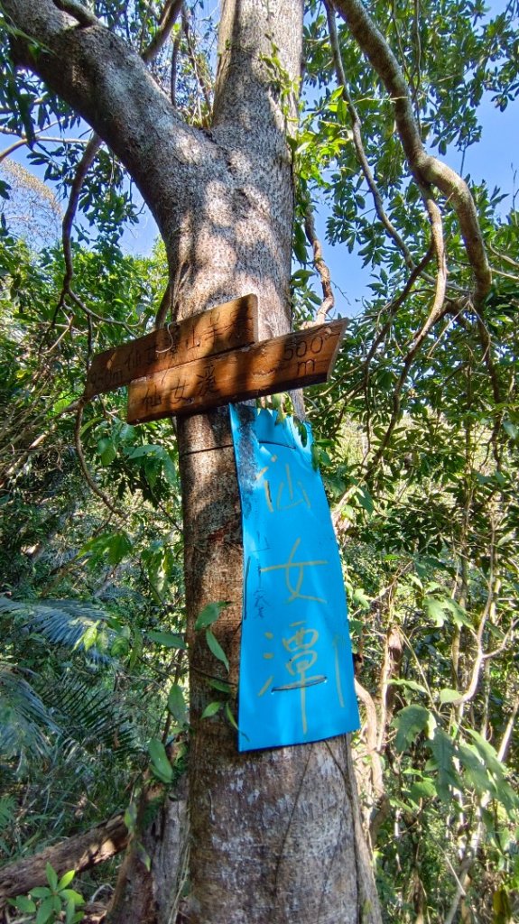 暗影山（酒桶山）台中小百岳_2042014